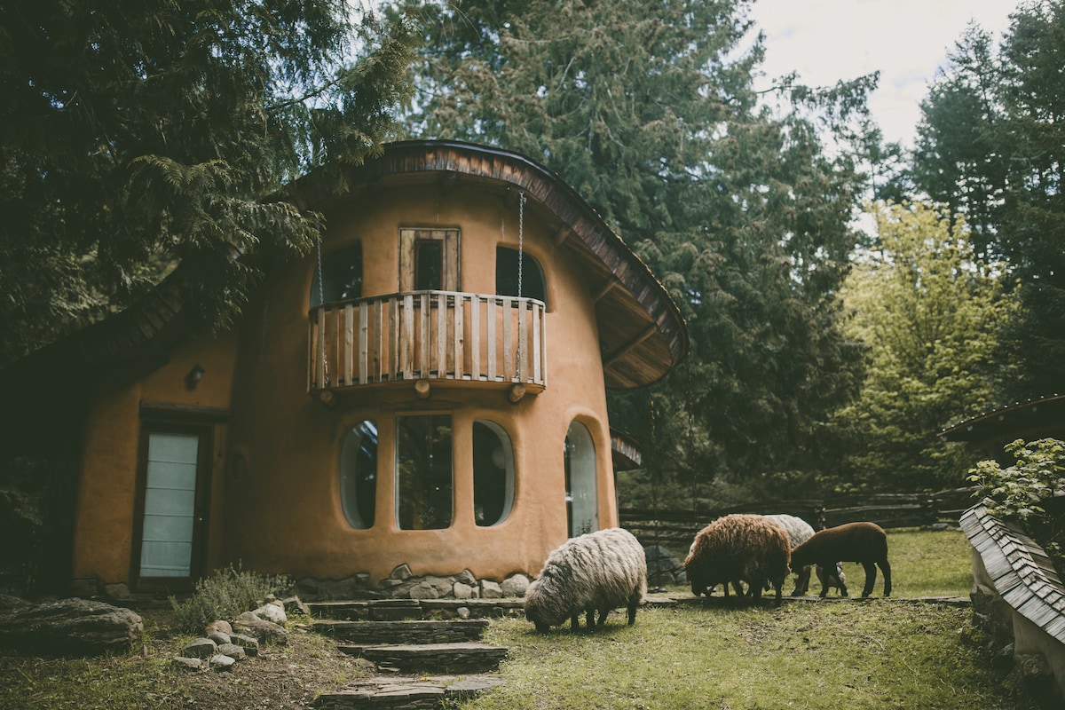Cob Cottage — Maison en Terre Sculptée — photo 9
