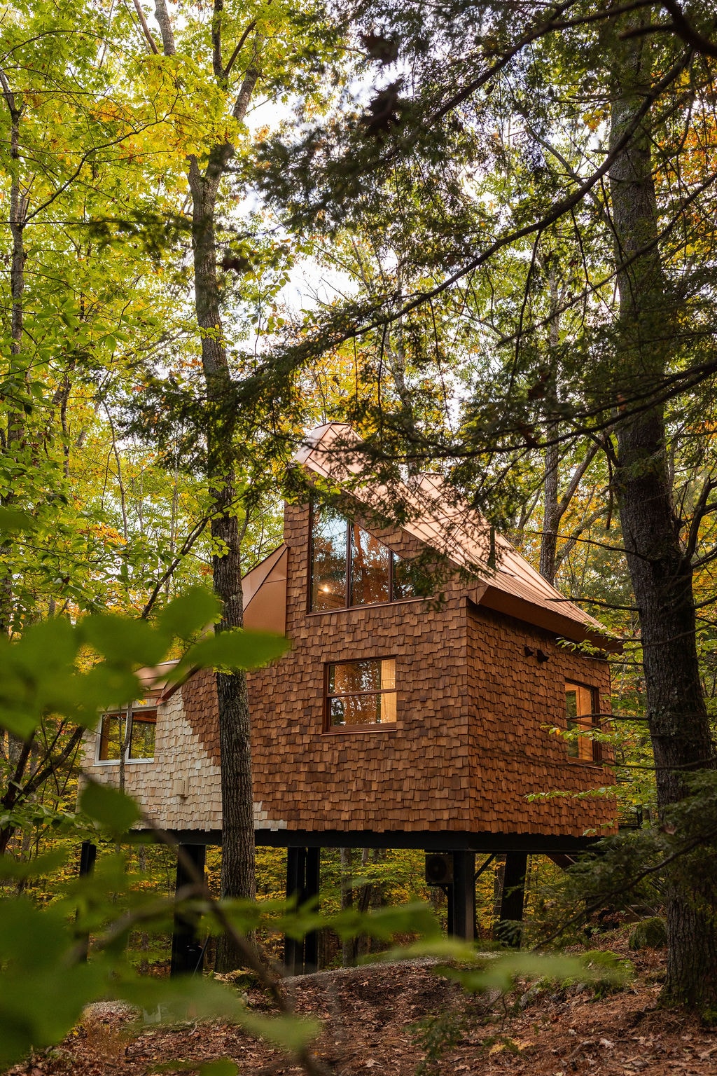 Copper Fox Treehouse — photo 5