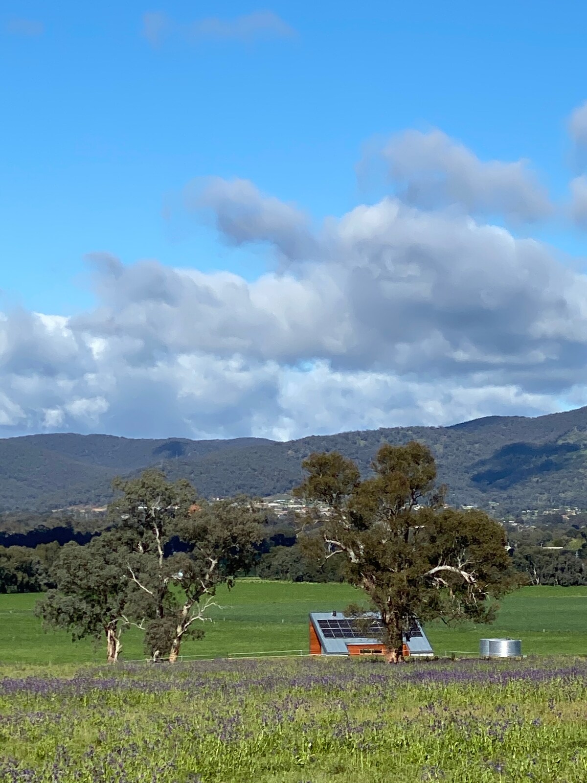 Gawthorne's Hut — TOP 10 Mondial — photo 6