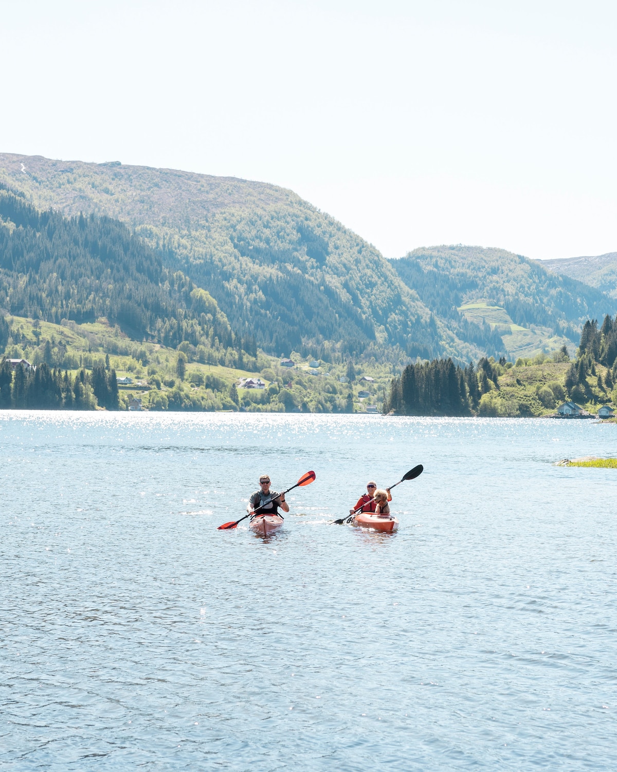 Grand Cheval — Vue Fjord — photo 4