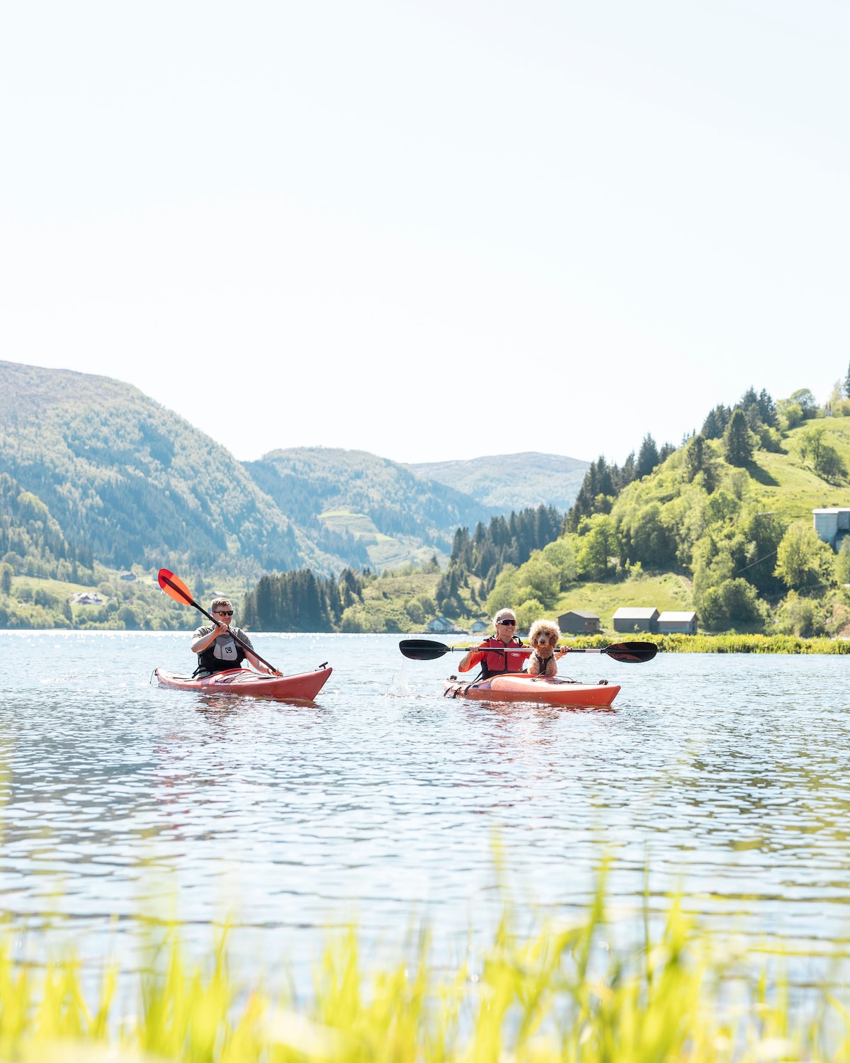 Grand Cheval — Vue Fjord — photo 8