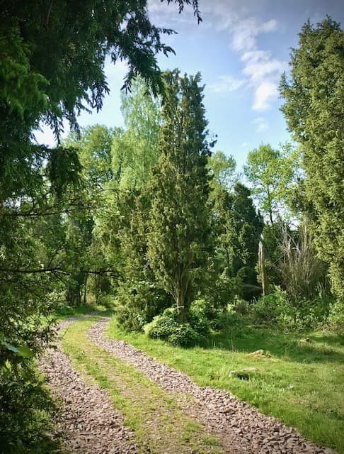 Logement Naturel Scanie — photo 6