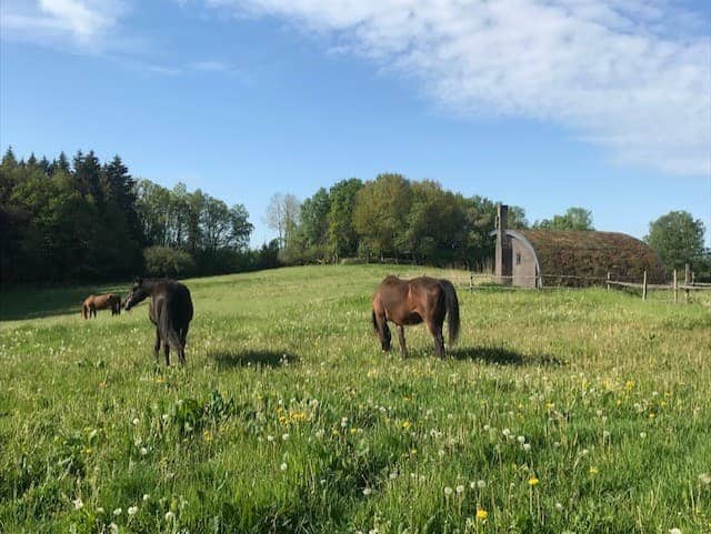 Logement Naturel Scanie — photo 8