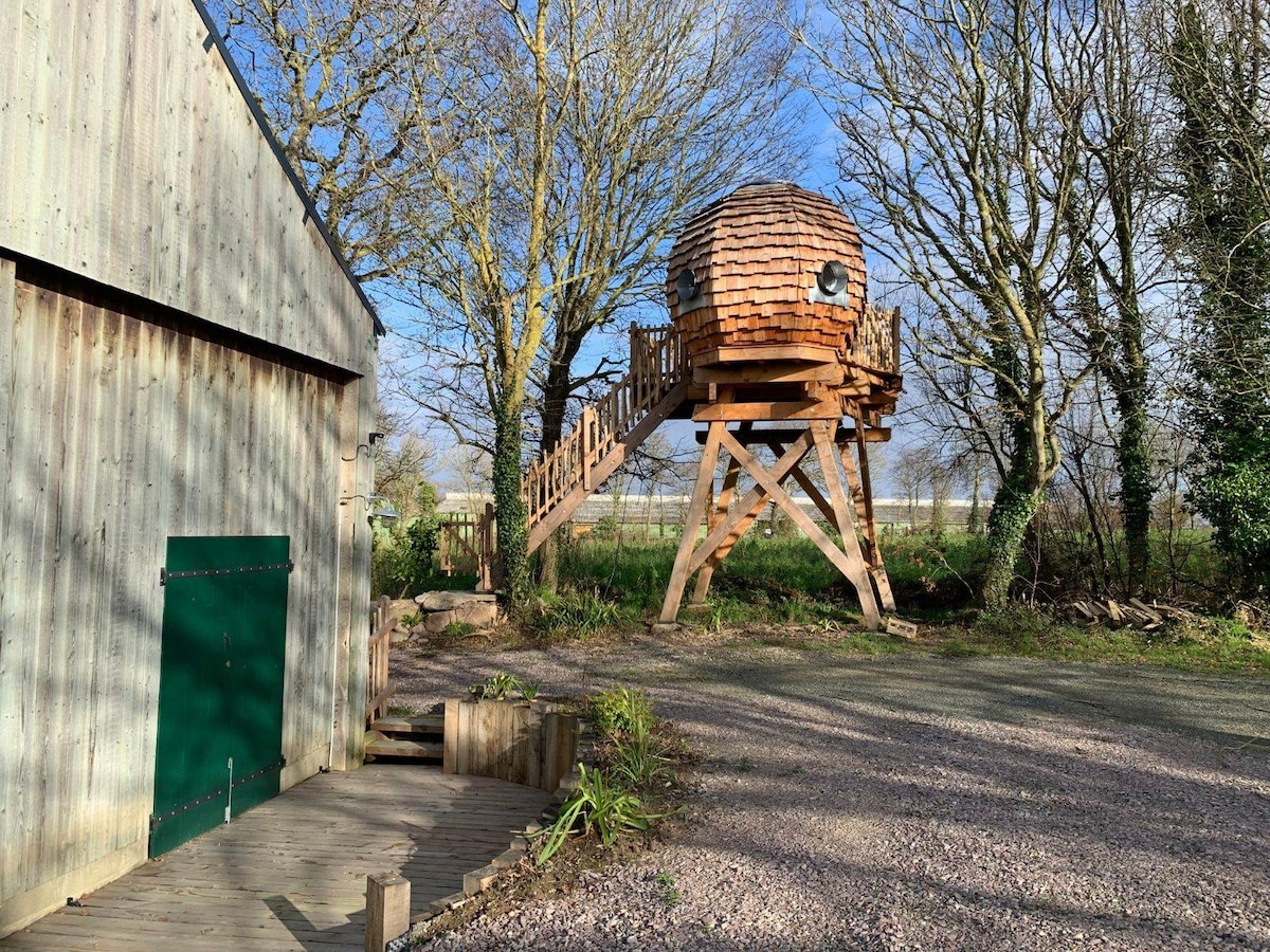 Le Nid des Hirondelles — photo 1