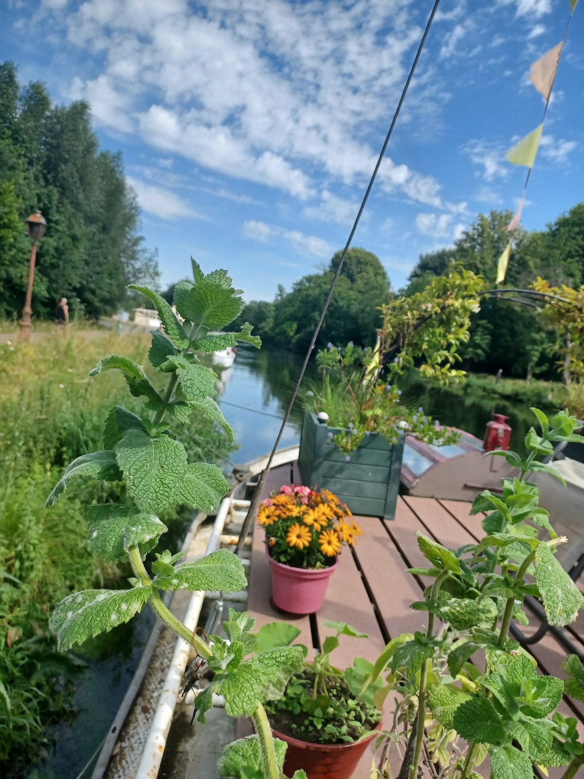 Péniche Arche de Noé — Sur la Somme — photo 9