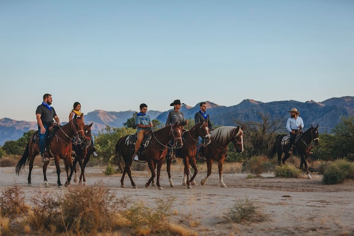 Wagon Conestoga — Ranch du Far West — photo 11