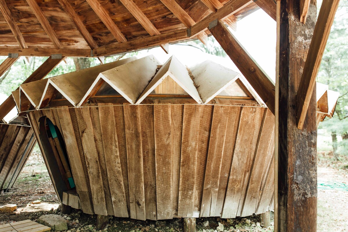Yourtes Jardin-Forêt — photo 8